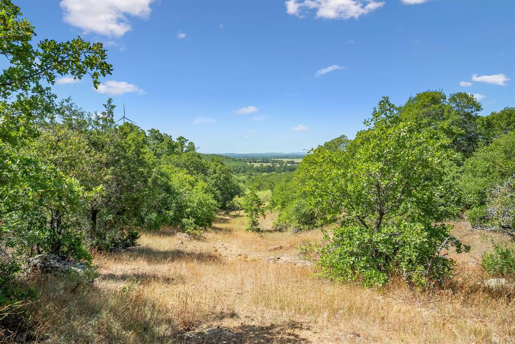 Tbd Tbd Armstrong Lane Jacksboro, TX 76458 - Photo 4 of 40 a view of a lake with a yard