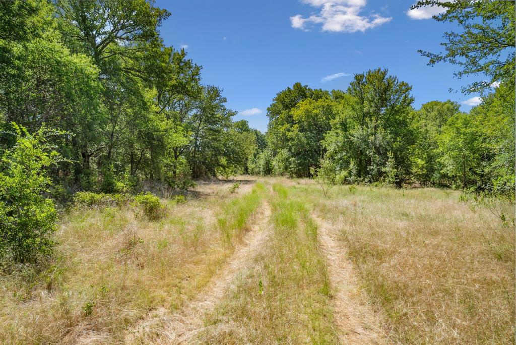 Tbd Tbd Armstrong Lane Jacksboro, TX 76458 - Photo 5 of 40 a view of a yard with a tree