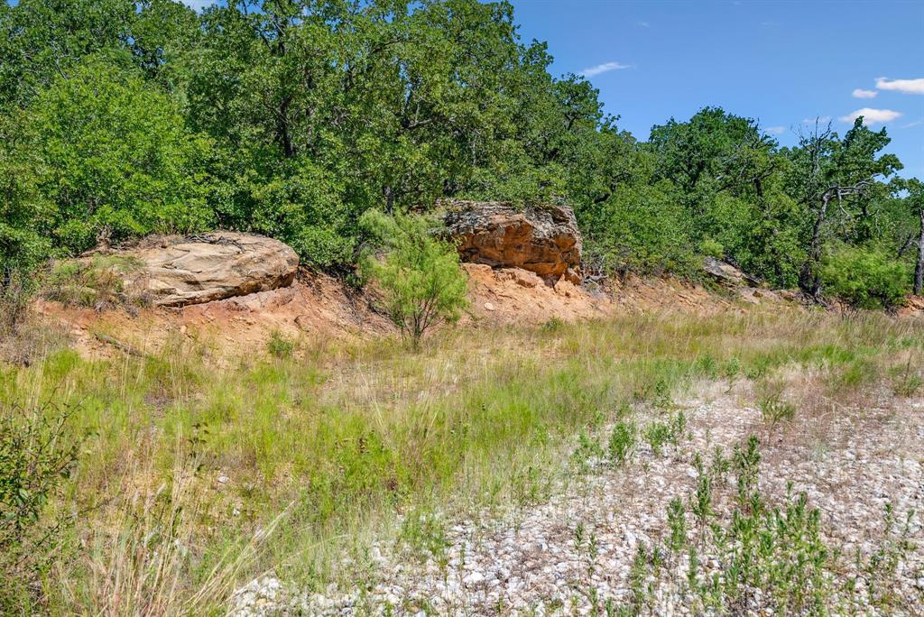 Tbd Tbd Armstrong Lane Jacksboro, TX 76458 - Photo 6 of 40 a view of backyard with green space