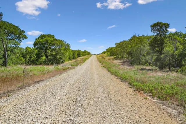 a view of a pathway with a yard