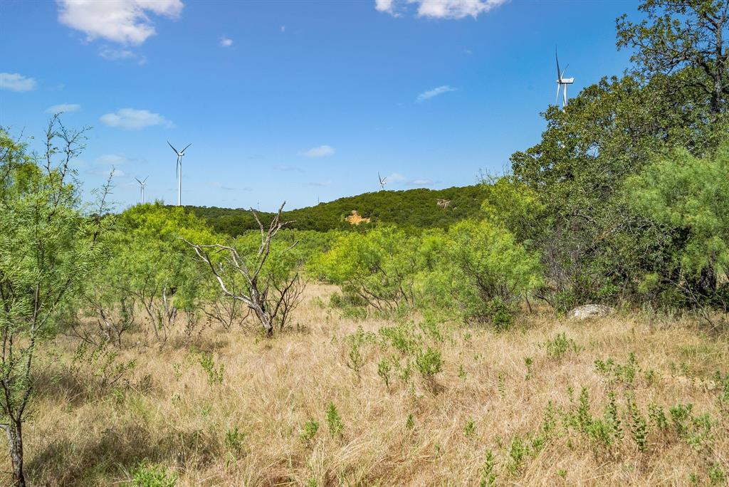 Tbd Tbd Armstrong Lane Jacksboro, TX 76458 - Photo 10 of 40 a view of a yard