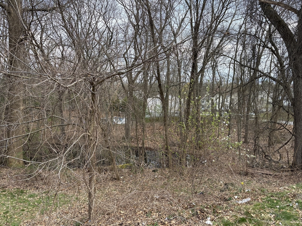 177 Jamaica Street Springfield, MA 01119 - Photo 5 of 12