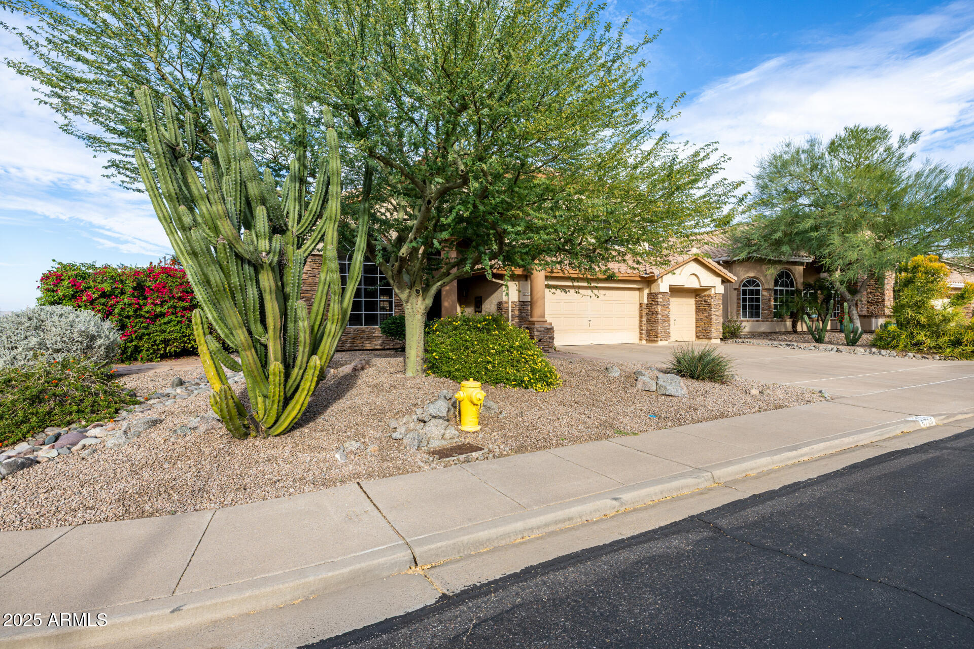 6726 East Villeroy Circle Mesa, AZ 85215 - Photo 11 of 74 a view of a street with potted plants and large trees