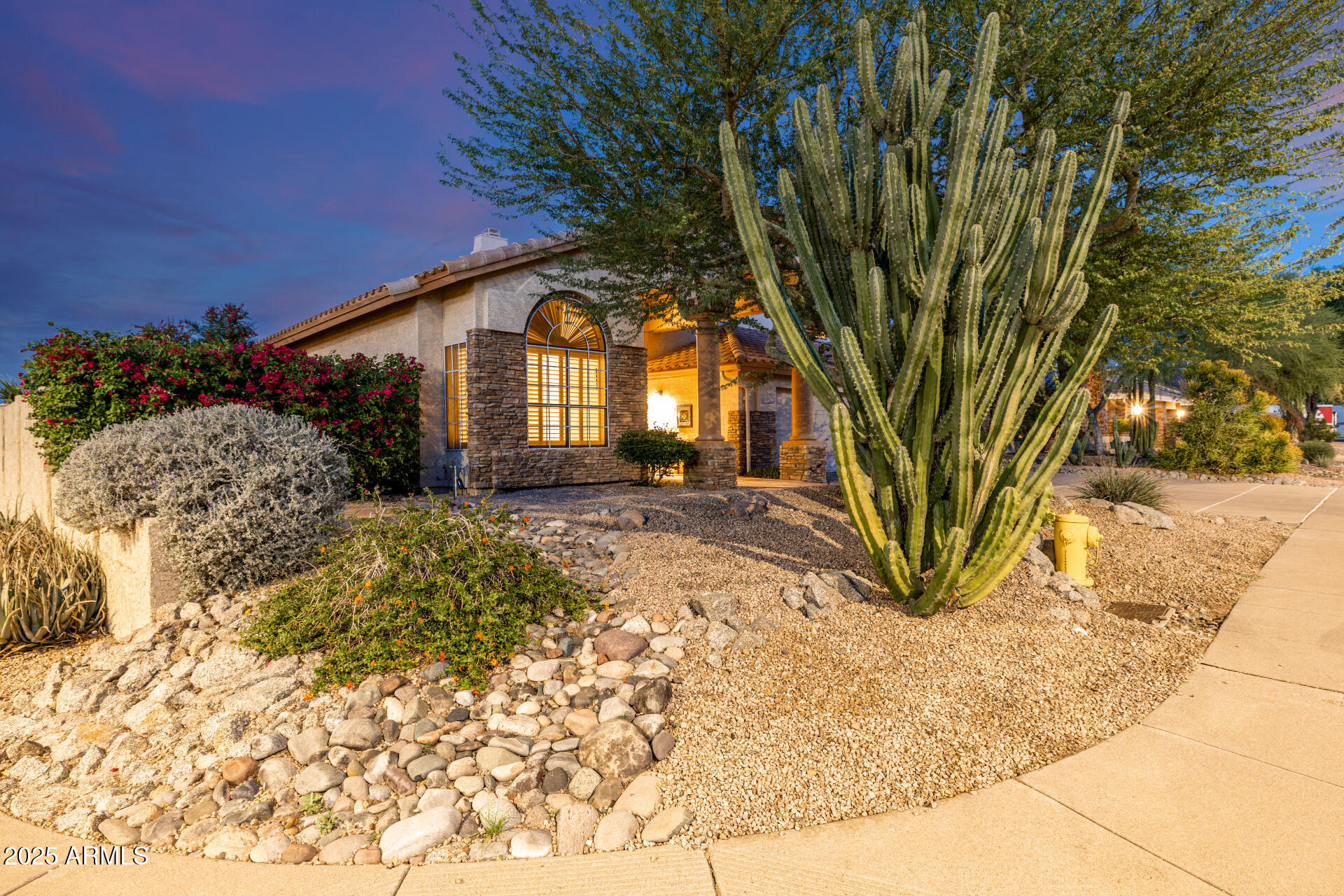 6726 East Villeroy Circle Mesa, AZ 85215 - Photo 5 of 74 a backyard of a house with large trees