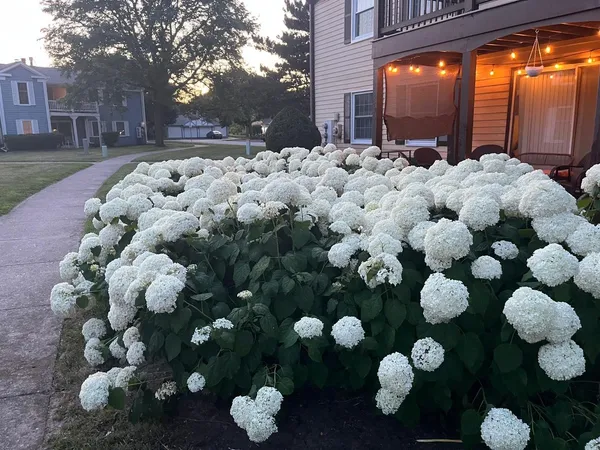 $311,000 | 54 Plymouth Court, Unit 102D, Naperville, IL 60565