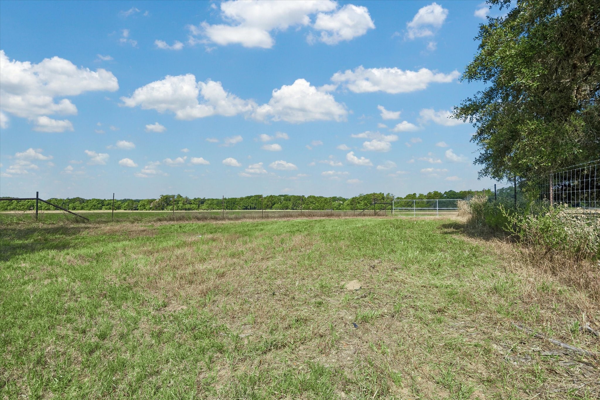 0 Frantz Road Cat Spring, TX 78933 - Photo 5 of 13 Fine country living!