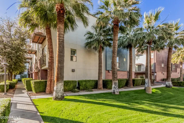a house with palm tree in front of it