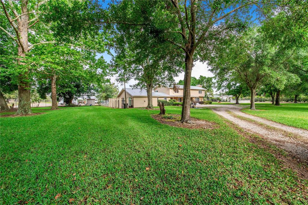 1646 Tyner Road Haines City, FL 33844 - Photo 3 of 64 a view of a park with large trees