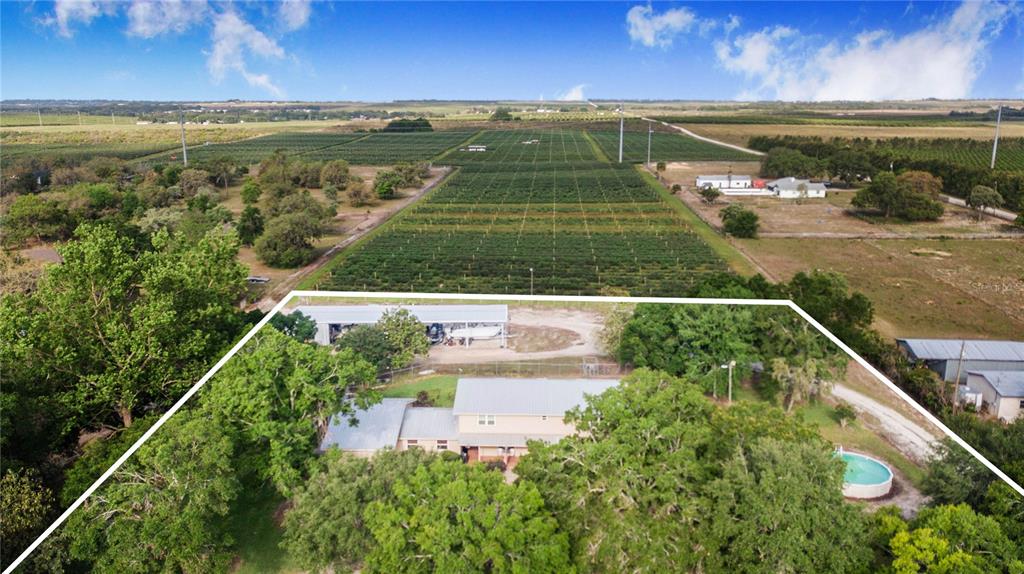 1646 Tyner Road Haines City, FL 33844 - Photo 62 of 64