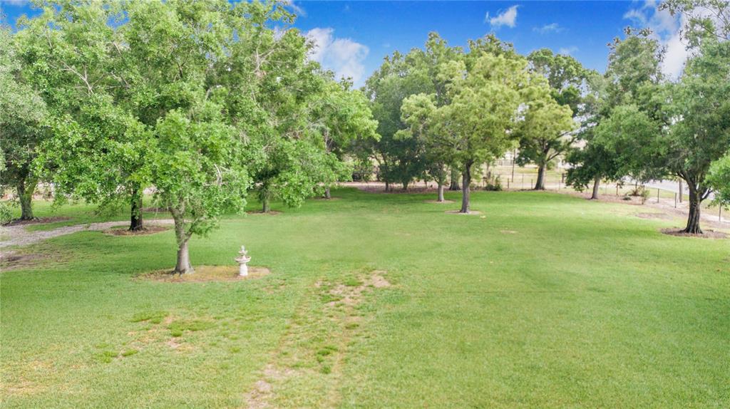1646 Tyner Road Haines City, FL 33844 - Photo 9 of 64 a backyard of a house with lots of green space