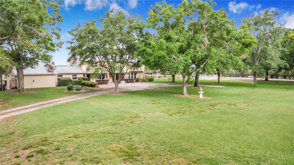 1646 Tyner Road Haines City, FL 33844 - Photo 10 of 64 a view of a park with large trees
