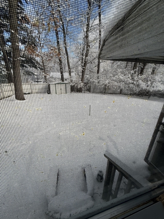 137 Carnavon Circle Springfield, MA 01109 - Photo 34 of 36