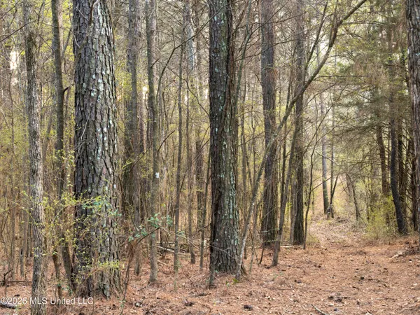 $210,000 | 4958 Attala Road 1106, Carthage, MS 39051