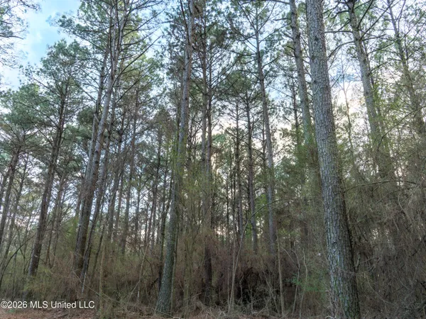 $210,000 | 4958 Attala Road 1106, Carthage, MS 39051