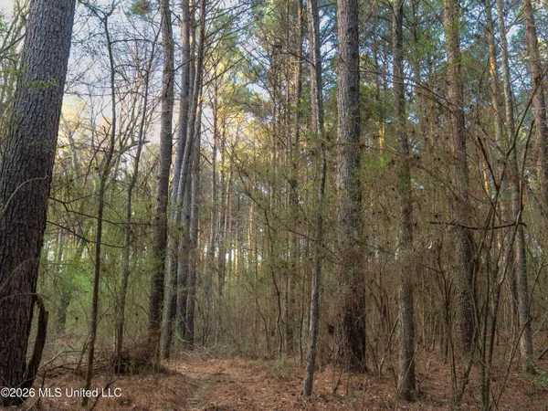 $210,000 | 4958 Attala Road 1106, Carthage, MS 39051