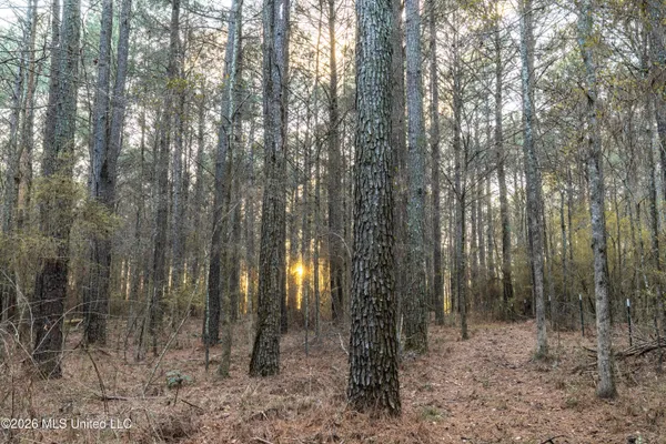 $210,000 | 4958 Attala Road 1106, Carthage, MS 39051