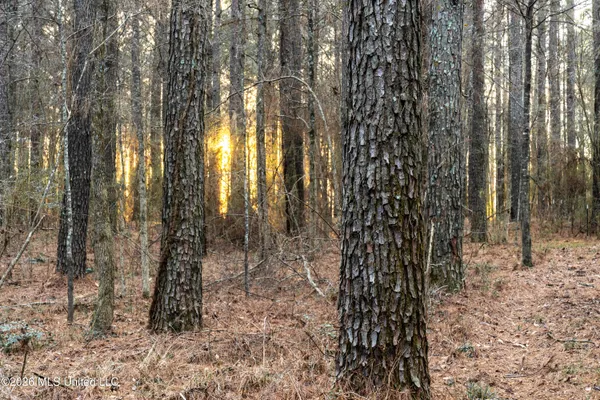 $210,000 | 4958 Attala Road 1106, Carthage, MS 39051