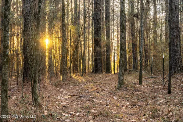 $210,000 | 4958 Attala Road 1106, Carthage, MS 39051