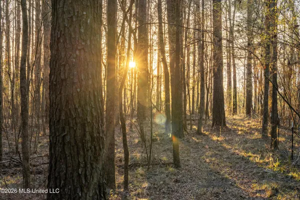 $210,000 | 4958 Attala Road 1106, Carthage, MS 39051