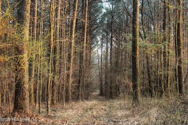 $210,000 | 4958 Attala Road 1106, Carthage, MS 39051