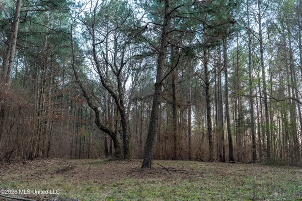 $210,000 | 4958 Attala Road 1106, Carthage, MS 39051