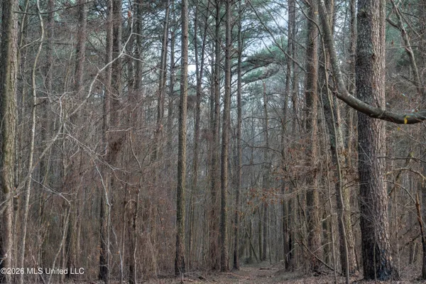 $210,000 | 4958 Attala Road 1106, Carthage, MS 39051