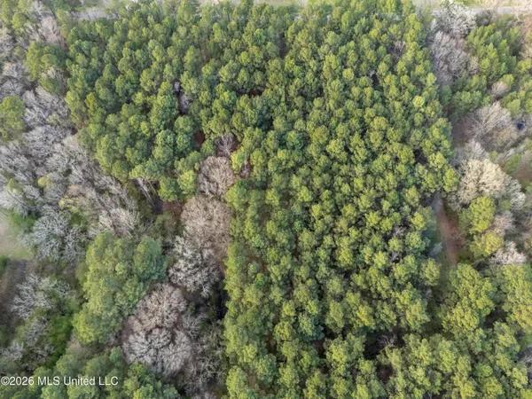 $210,000 | 4958 Attala Road 1106, Carthage, MS 39051