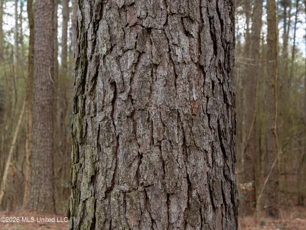 $210,000 | 4958 Attala Road 1106, Carthage, MS 39051