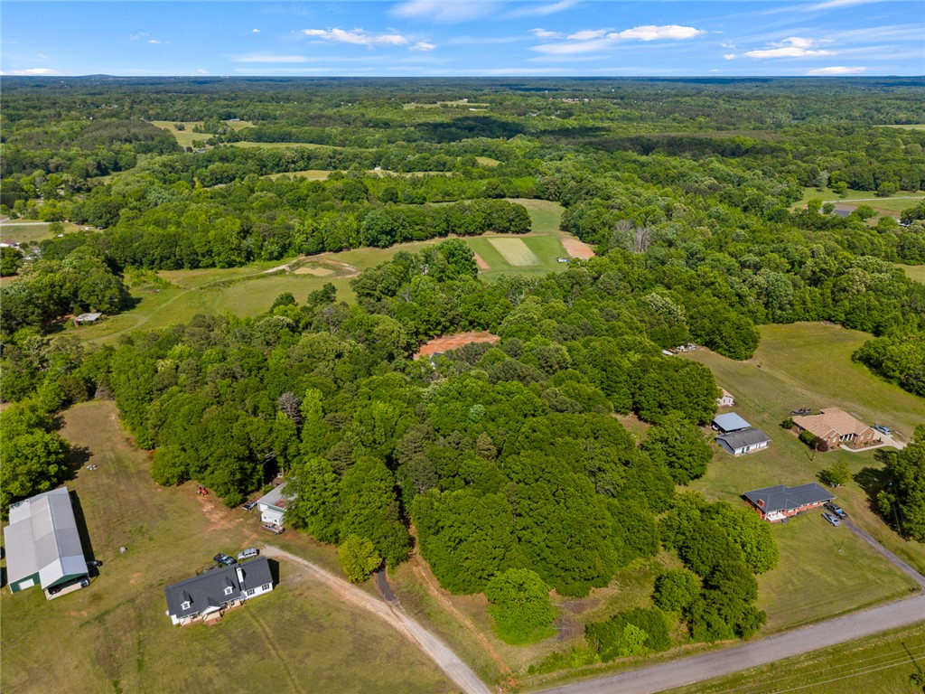 131 Lockaby Road Pelzer, SC 29669 - Photo 46 of 50 Embrace expansive verdant landscapes, where peaceful living meets endless outdoor potential.