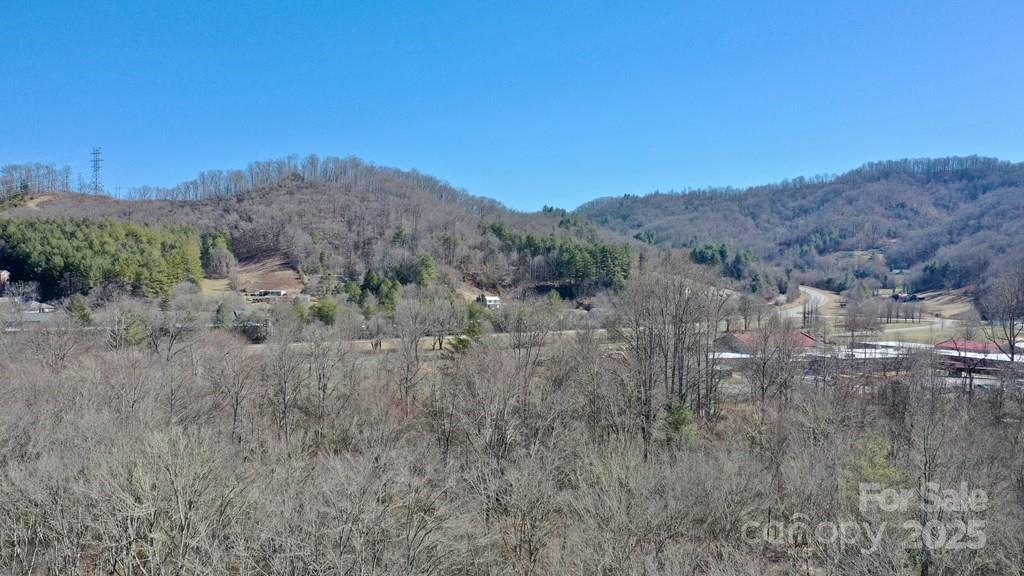 340 Lyle Wilson Road Cullowhee, NC 28723 - Photo 2 of 8 a view of a dry field