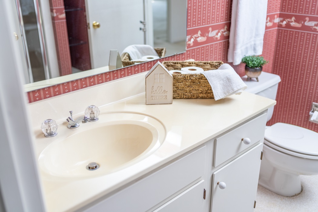 73 B Swoope Road Swoope, VA 24479 - Photo 43 of 75 a bathroom with a sink and a toilet