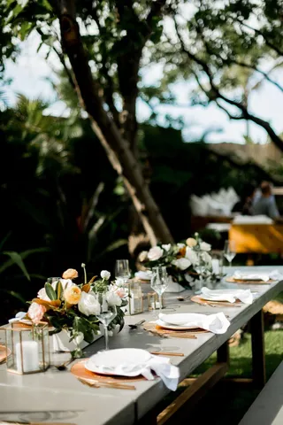 a view of a yard with plants and palm trees