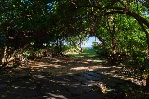 a view of a tree in front of the house