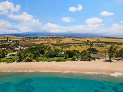 a view of yard with green space and trees around