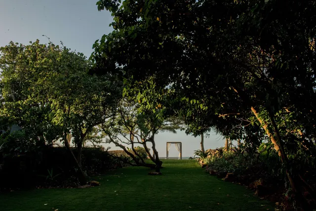 a view of an ocean with a bench and trees