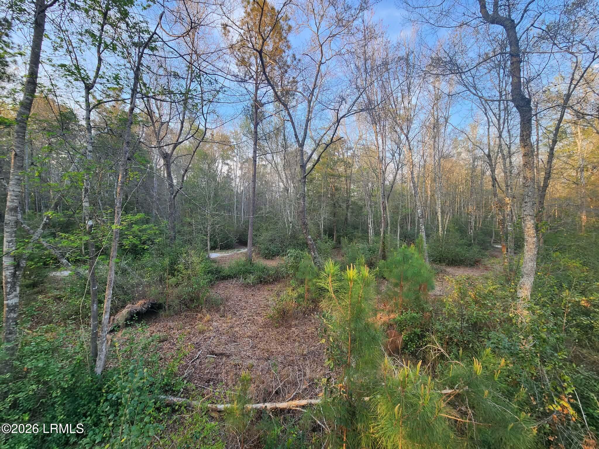 1504 County Rd S-25-27 Varnville, SC 29944 - Photo 28 of 40 c739fc74-a9e1-4821-93de-faacf8dcf2cb