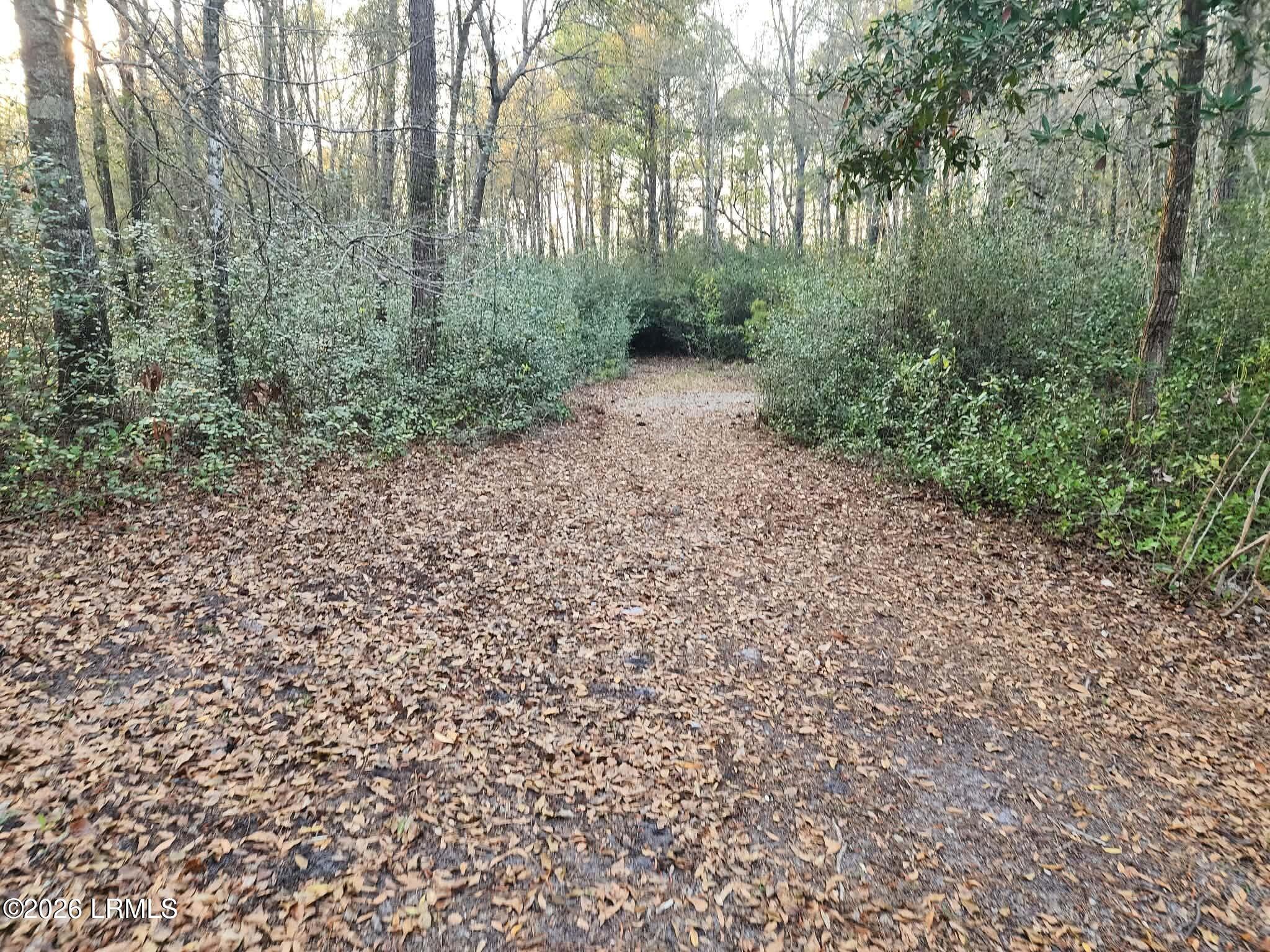 1504 County Rd S-25-27 Varnville, SC 29944 - Photo 30 of 40 e3aa0311-d519-4dcb-8705-bb53b56f8473