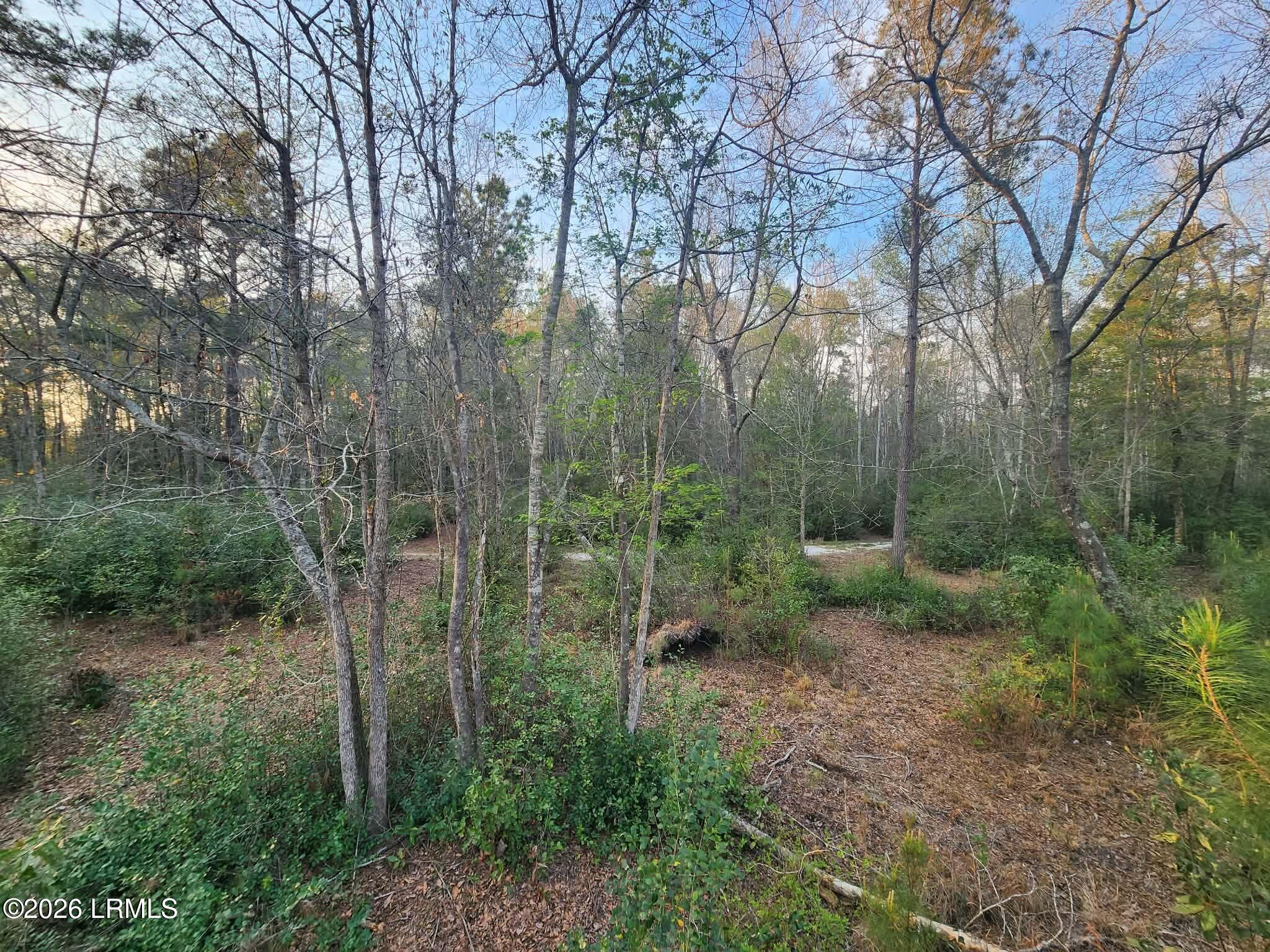 1504 County Rd S-25-27 Varnville, SC 29944 - Photo 31 of 40 3b520451-8792-4601-8a76-04f588b6ea7a