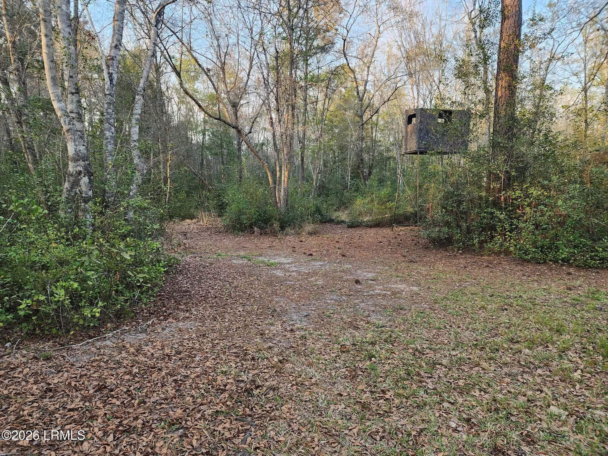 1504 County Rd S-25-27 Varnville, SC 29944 - Photo 32 of 40 3d1b7c97-04b6-4c94-9916-f4e20e2d221b