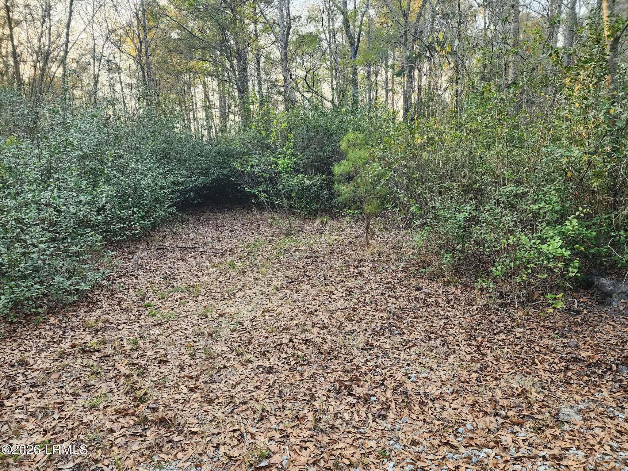 1504 County Rd S-25-27 Varnville, SC 29944 - Photo 33 of 40 8bae4c35-02cb-4d4b-9325-299dd056a0e6