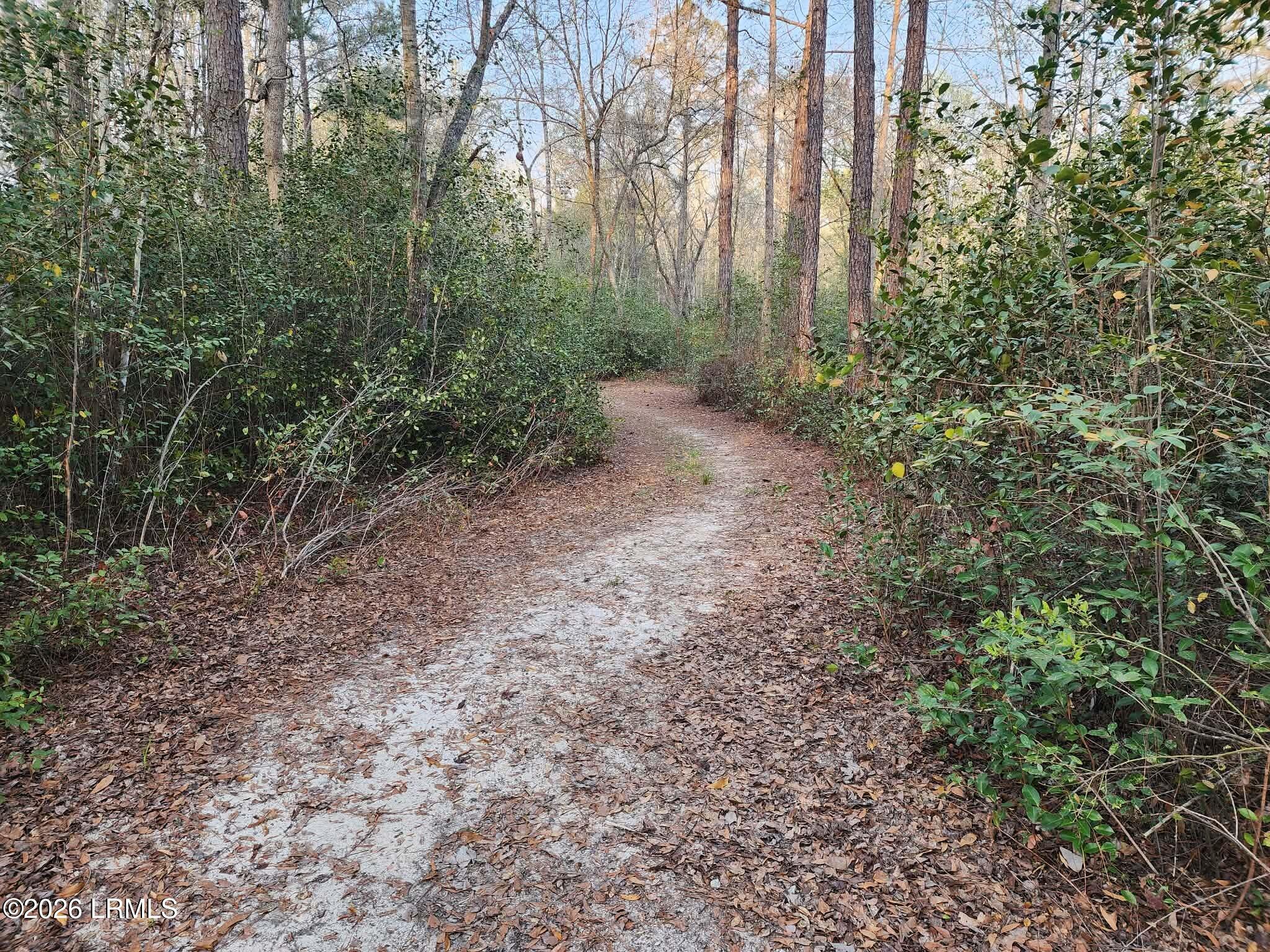 1504 County Rd S-25-27 Varnville, SC 29944 - Photo 35 of 40 34d3344f-a423-4619-8f6c-7919e292e710