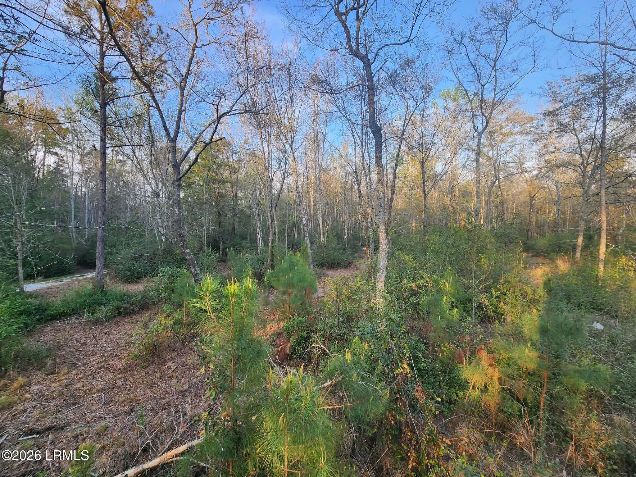 1504 County Rd S-25-27 Varnville, SC 29944 - Photo 37 of 40 514f6f64-55af-4329-95d2-364f3c7dad15