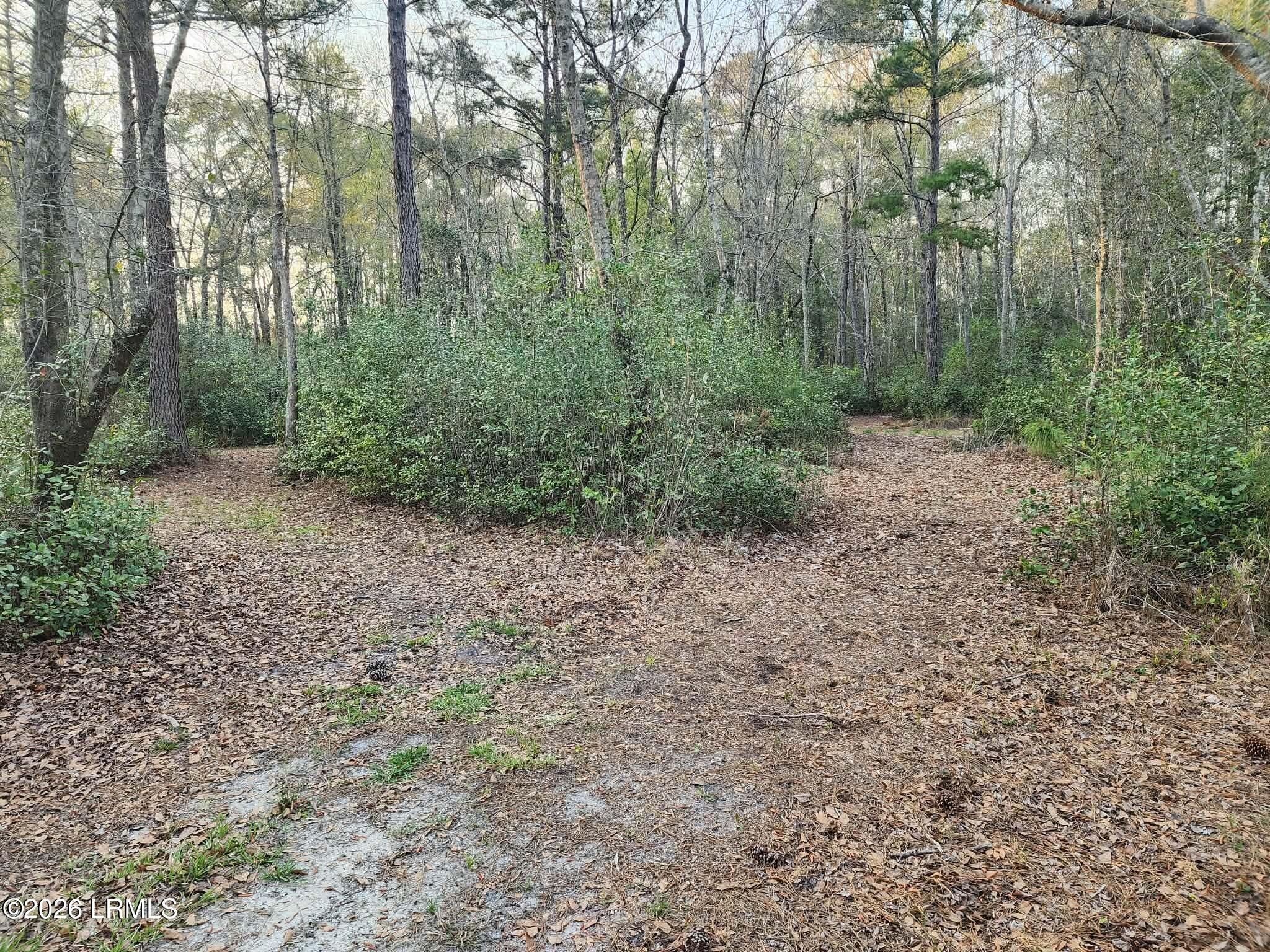 1504 County Rd S-25-27 Varnville, SC 29944 - Photo 38 of 40 a8df1e4a-85a5-4429-8a5e-0fe7c08de9f5