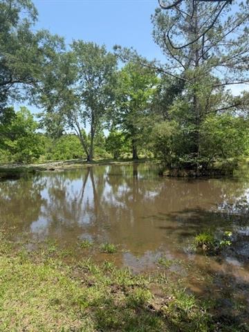 0 Boyd Road Covington, LA 70435 - Photo 3 of 6