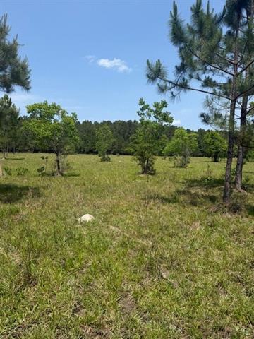 0 Boyd Road Covington, LA 70435 - Photo 4 of 6
