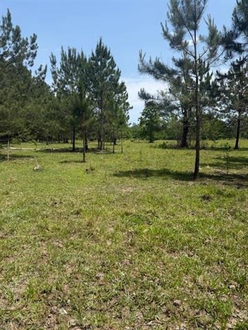 0 Boyd Road Covington, LA 70435 - Photo 6 of 6