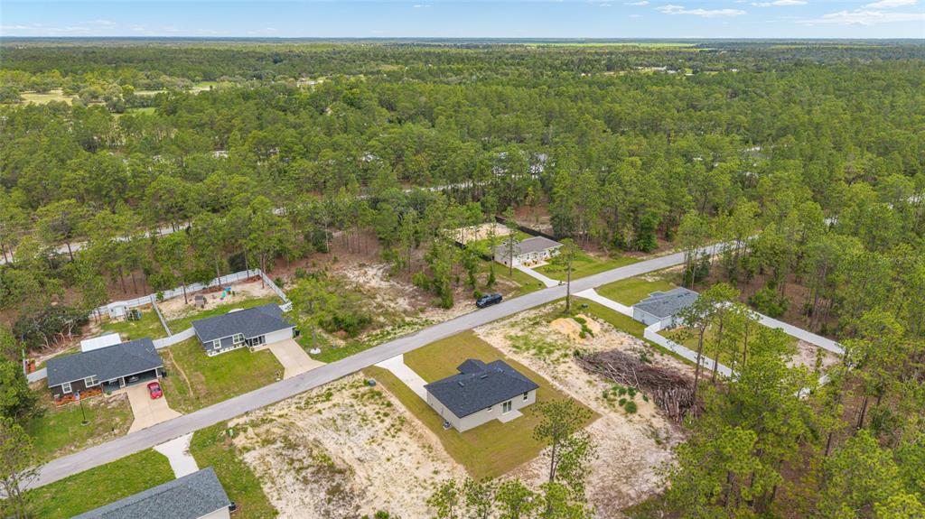 427 Alvarez Road Dunnellon, FL 34431 - Photo 8 of 51