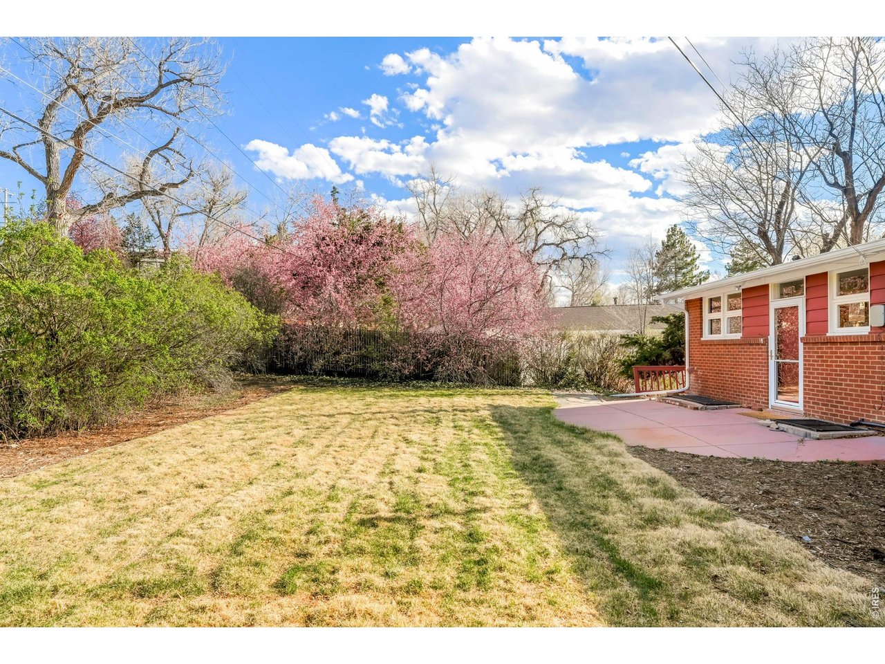 3520 Holland Street Wheat Ridge, CO 80033 - Photo 30 of 30