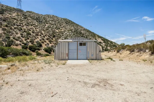 a view of a backyard with a large tree