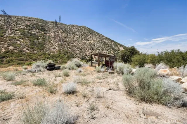 a view of a dry yard with trees